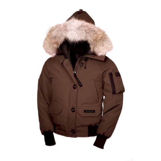 Canada Goose Shop Cheap Brown Womens Chilliwack Bomber Jacket ch - Click Image to Close